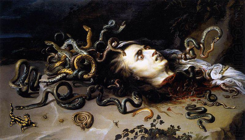 Peter Paul Rubens The Head of Medusa china oil painting image